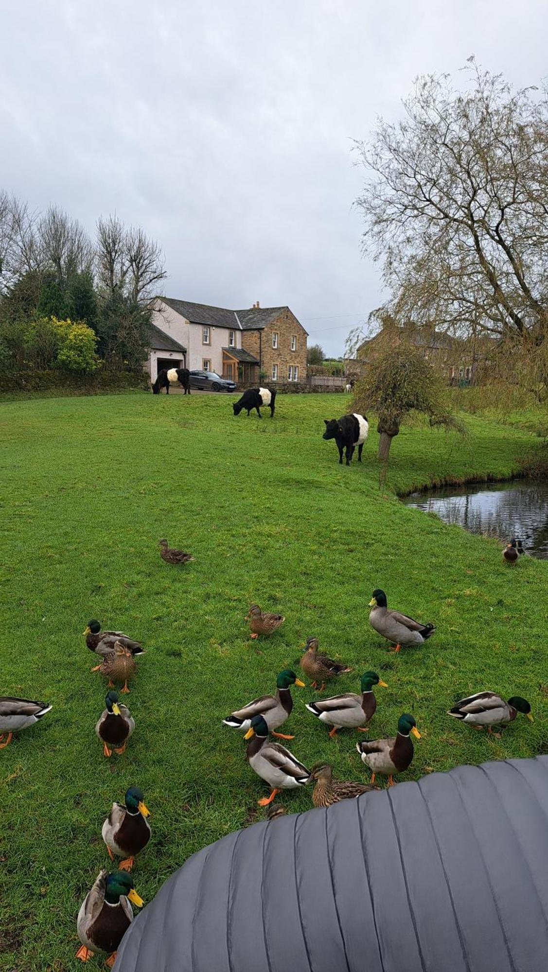Church House Barn Lake District & Solway Coast With Solway Firth Views Silloth Eksteriør billede